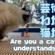 バーマン猫ガブとラフとウリ【芸術がわかる猫か？】Are you a cat who understands art?（バーマン猫）Birman/Cat
