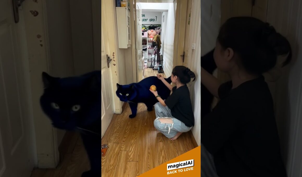 Japanese Bobtail cat #cat #cats #catvideos #catshorts #catlovers #catlife  #aicat #aiart #pets #ai