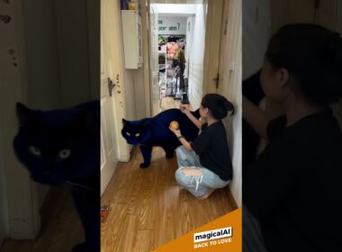 Japanese Bobtail cat #cat #cats #catvideos #catshorts #catlovers #catlife  #aicat #aiart #pets #ai