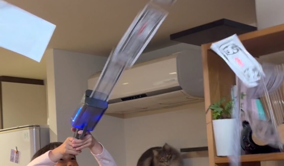 勢いよくばら撒かれたお札にびっくりする猫　サイベリアン