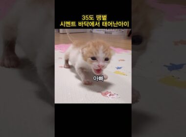 모두가 힘들다고 했지만…