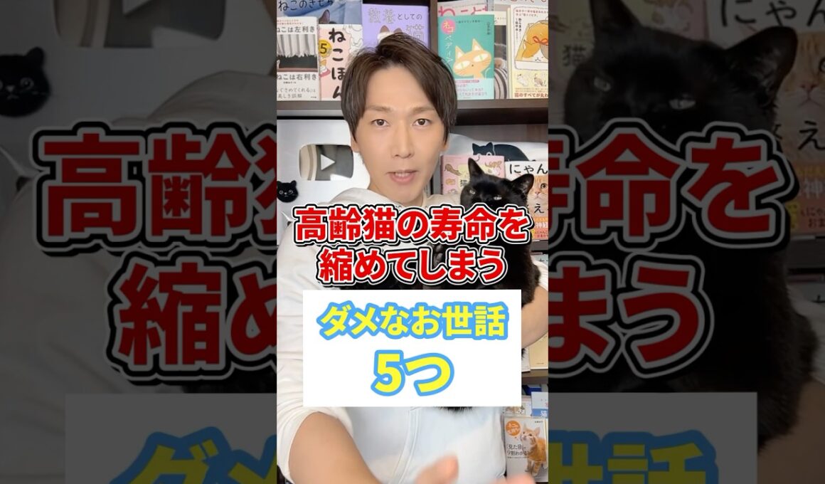 高齢猫の寿命を縮めてしまうダメなお世話５つ #猫 #猫のいる生活 #ねこ