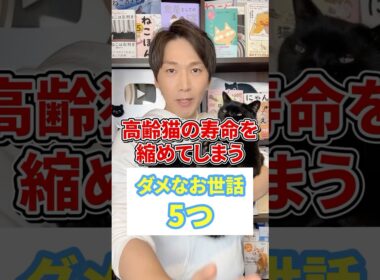 高齢猫の寿命を縮めてしまうダメなお世話５つ #猫 #猫のいる生活 #ねこ