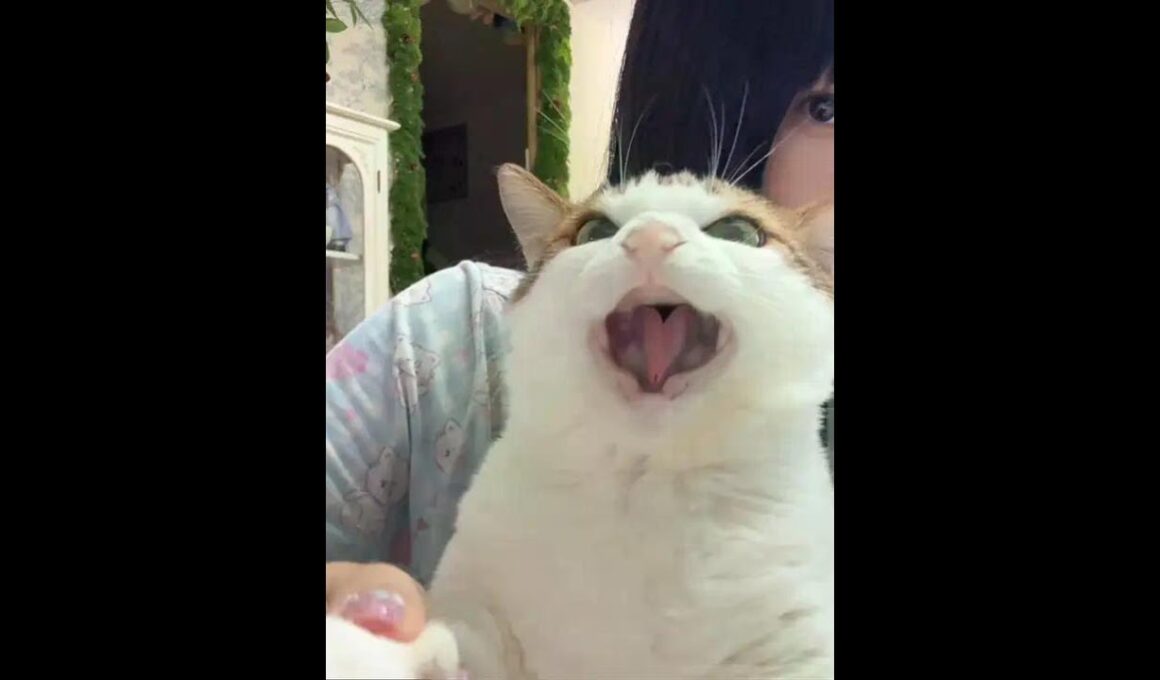 girl, I love you! Uncle has no trouble with it. Uncle is using his tongue to make a heart. #Me and