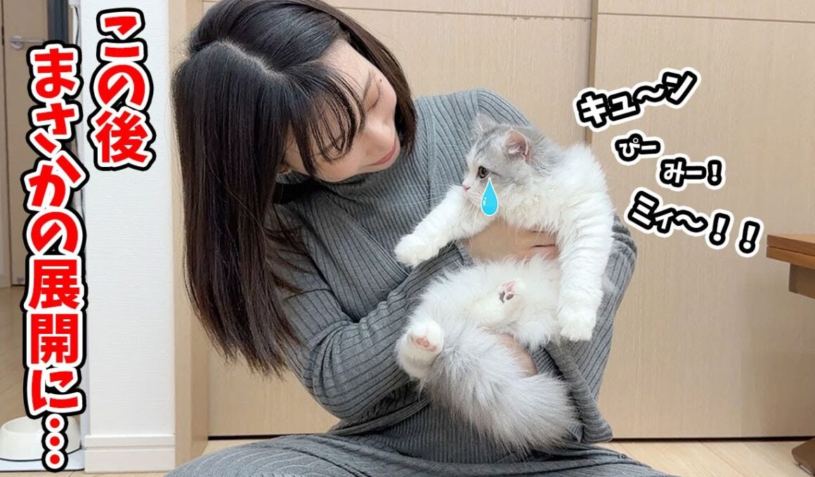 つらすぎて初めて泣いちゃった子猫がまさかのこうなった…！