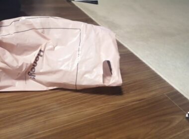 ブリティッシュショートヘアー　こむぎ　「袋の中へ飛び込み」の巻