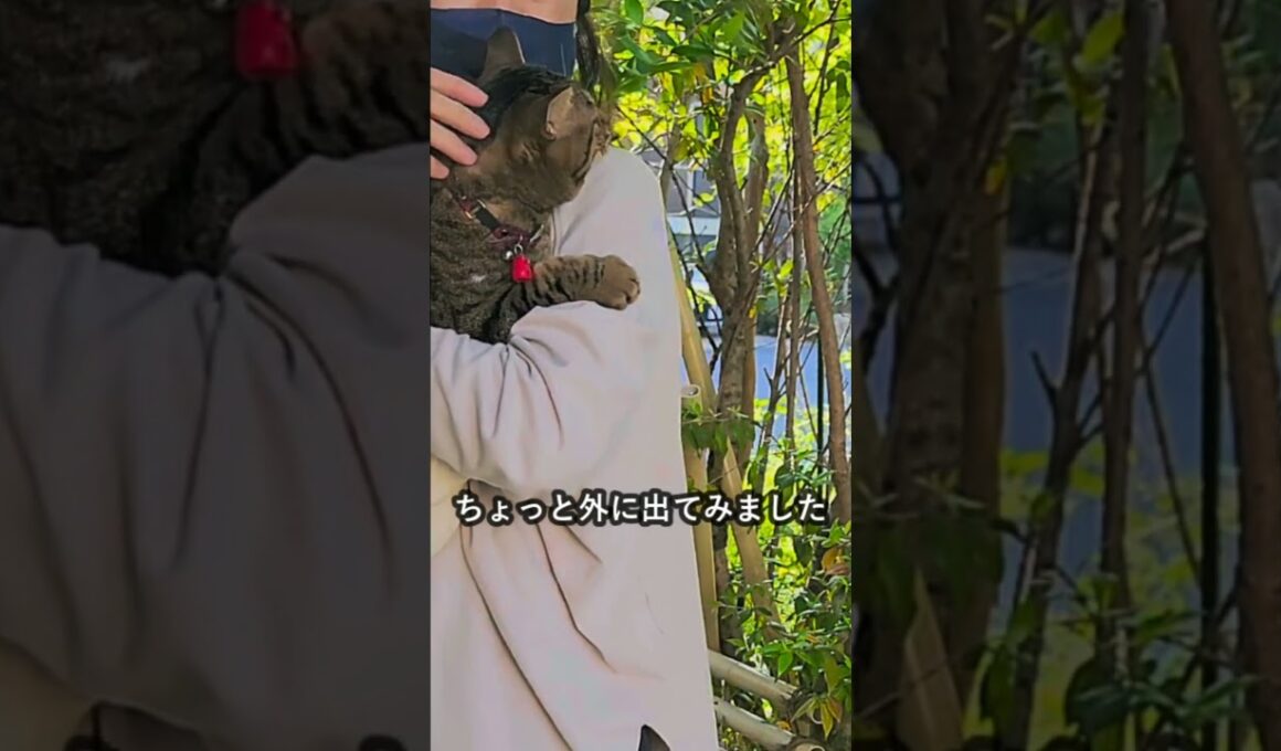 二本足のあいちゃん No.659 百均バッグ