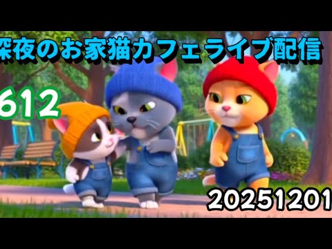深夜のお家猫カフェライブ配信 ６１２