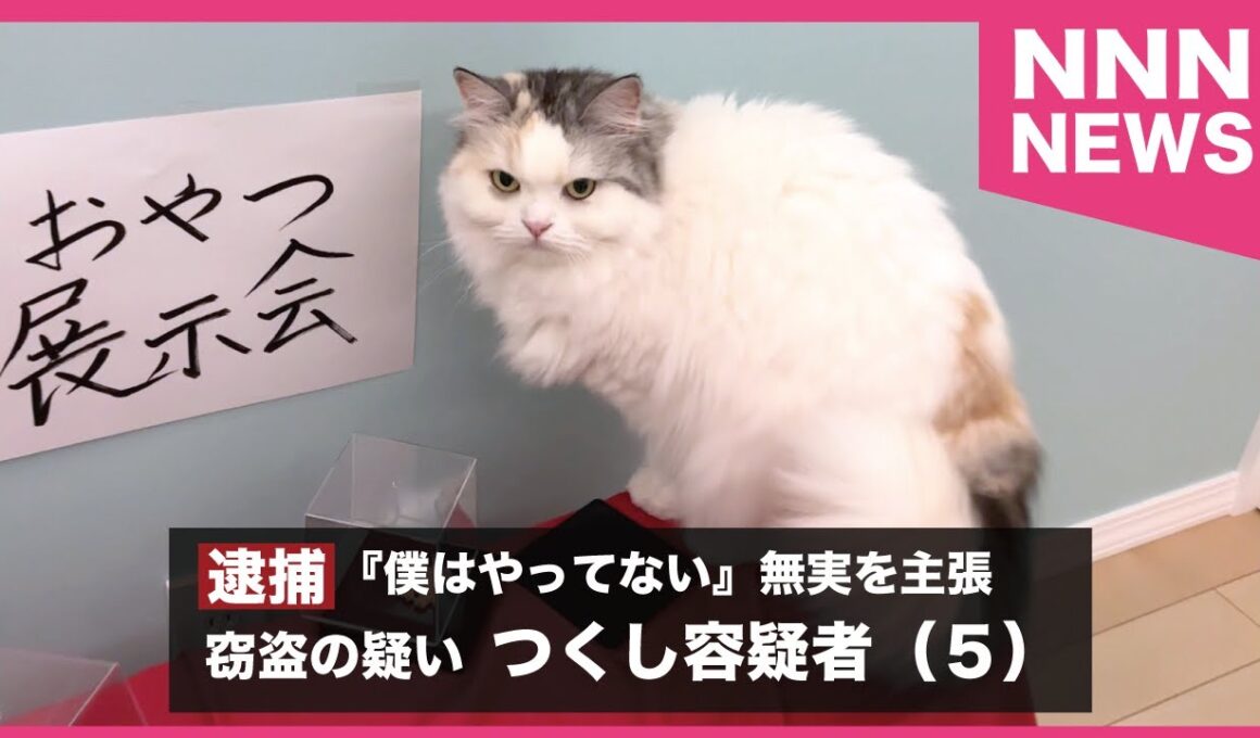 【悲報】つくし容疑者、商品窃盗の疑いで逮捕される