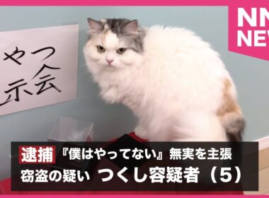 【悲報】つくし容疑者、商品窃盗の疑いで逮捕される