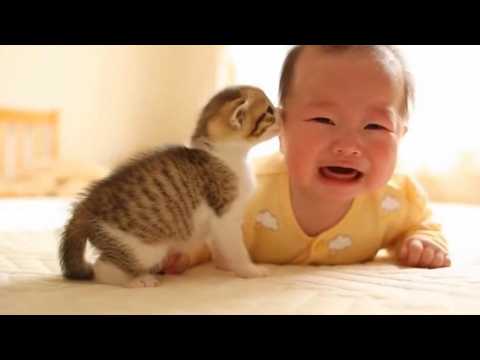 子猫「赤ちゃん大丈夫だよ」
