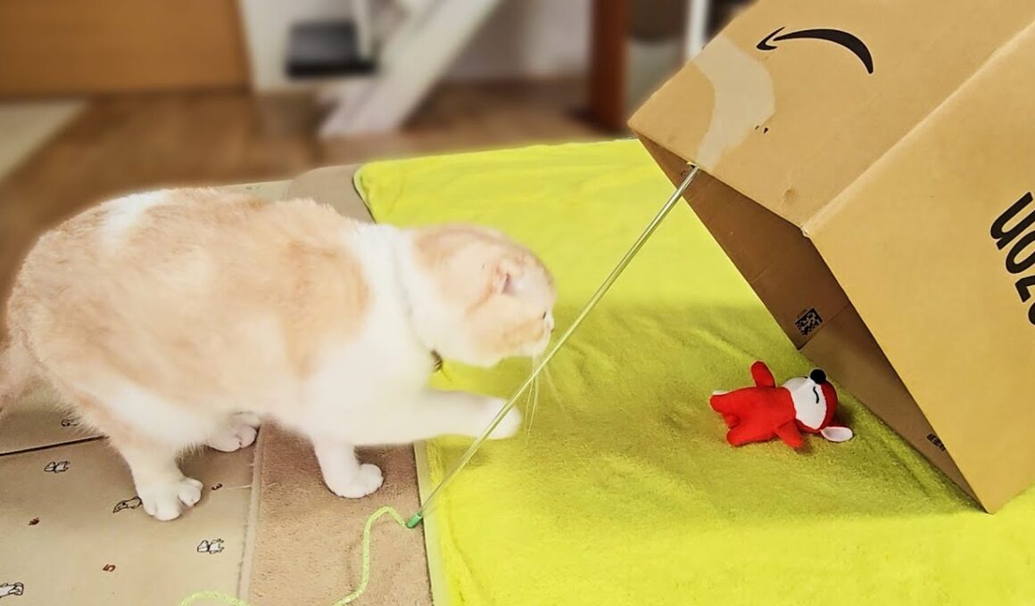 バレバレの罠をしかけたら子猫とハスキー犬達がまさか...笑