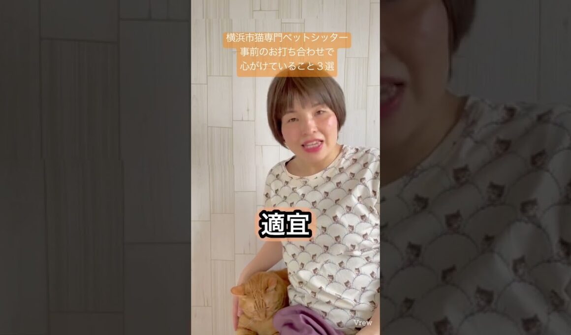 キャットシッターが事前のお打ち合わせで心がけていること3選#shorts #ねこ