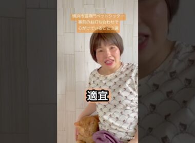 キャットシッターが事前のお打ち合わせで心がけていること3選#shorts #ねこ
