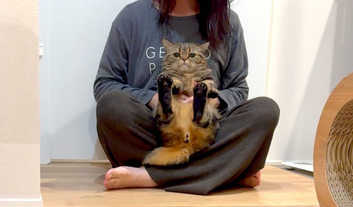 ママのお風呂上がりに駆けつける甘えん坊猫が可愛い！