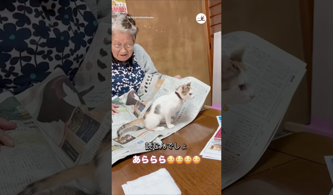 じゃれてるかと思ったらまさかの…🤭｜PECO