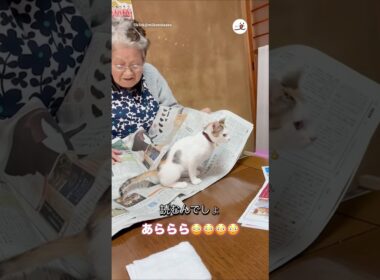 じゃれてるかと思ったらまさかの…🤭｜PECO