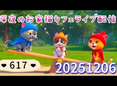 深夜のお家猫カフェライブ配信 ６１７