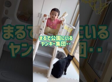 ガラ悪い😱‼️ #赤ちゃん #1歳 #保護猫 #cat #ロシアンブルー