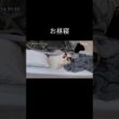 寝返りする度に毛布脱げて困る。#shorts #ラグドール #子猫 #猫のいる生活 #甘えん坊猫 #ぬいぐるみ猫 #ペットカメラ