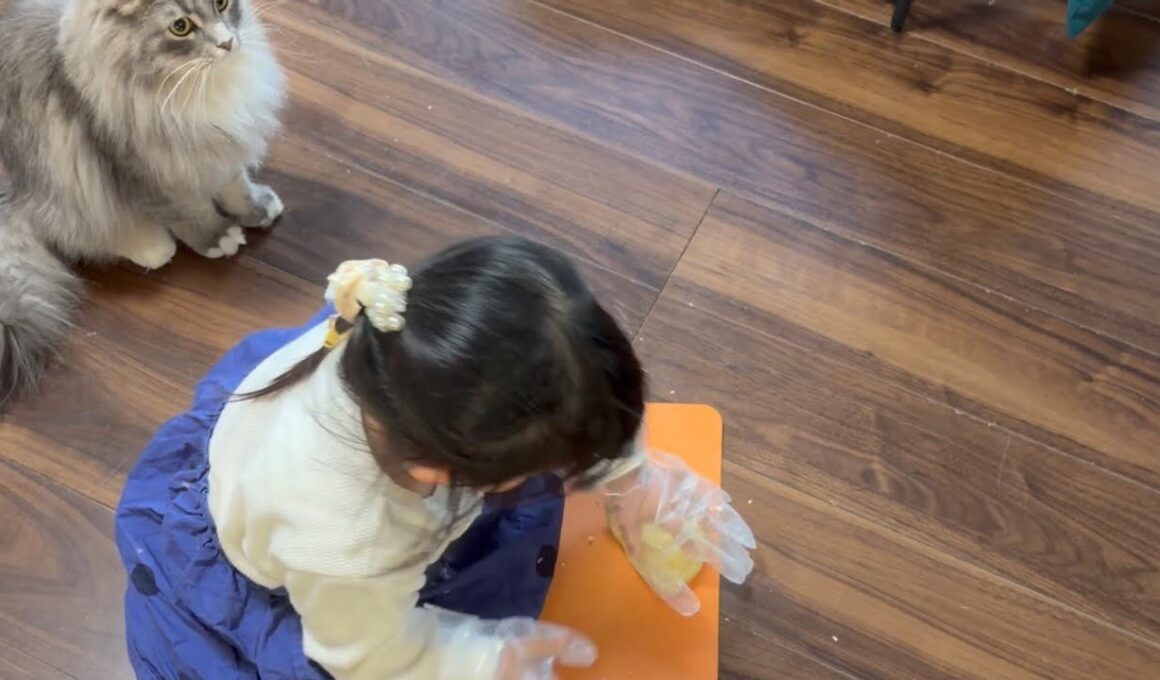 パンを作る娘の周りをウロウロする猫達　サイベリアン