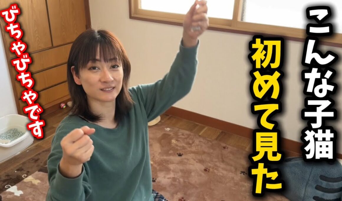 撫でるだけでびしょ濡れになる子猫見た事ありますか？