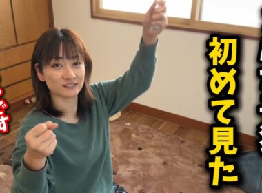 撫でるだけでびしょ濡れになる子猫見た事ありますか？