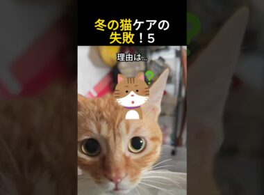 冬の猫ケアの失敗5！#猫 #子猫 #猫ショート #猫動画