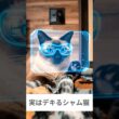 実はデキるシャム猫🐱 - Smart Cats - #shorts #cat