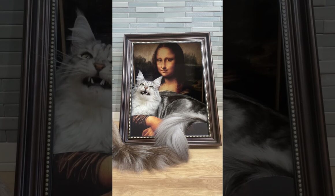 モナリザの猫🧑‍🎨🎨#maincoon #メインクーン #ラグドール #猫のいる生活 #ragdoll