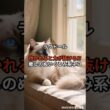 【ラグドール①】抱かれると力が抜ける!? 癒しのぬいぐるみ系ネコ #shorts #動物 #雑学 #猫 #ネコ