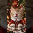 赤鼻のトナカイを歌う可愛い子猫♡ #catsong  #ねこの歌  #クリスマス
