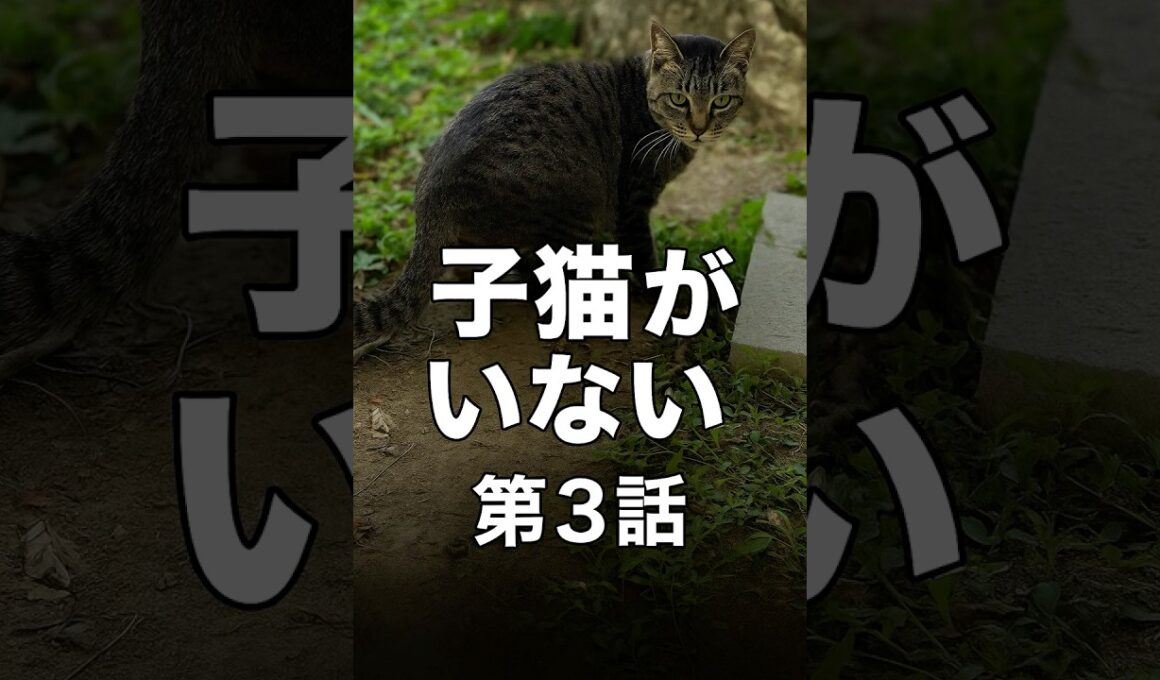 【緊急事態】出産したはずなのに子猫がいない…獣医師に聞いた「3つの最悪な可能性」#保護猫 #野良猫 #謎 #子猫 #捜索 #獣医師 #ちびちゃん #奇跡 #緊急事態 #出産