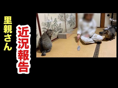 里親さん宅でトライアルする保護子猫の幸せを祈ってます