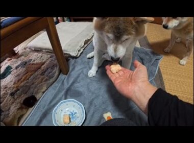 短くなったヒマラヤンハードチーズを押収して作るチーズスナック