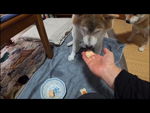 短くなったヒマラヤンハードチーズを押収して作るチーズスナック