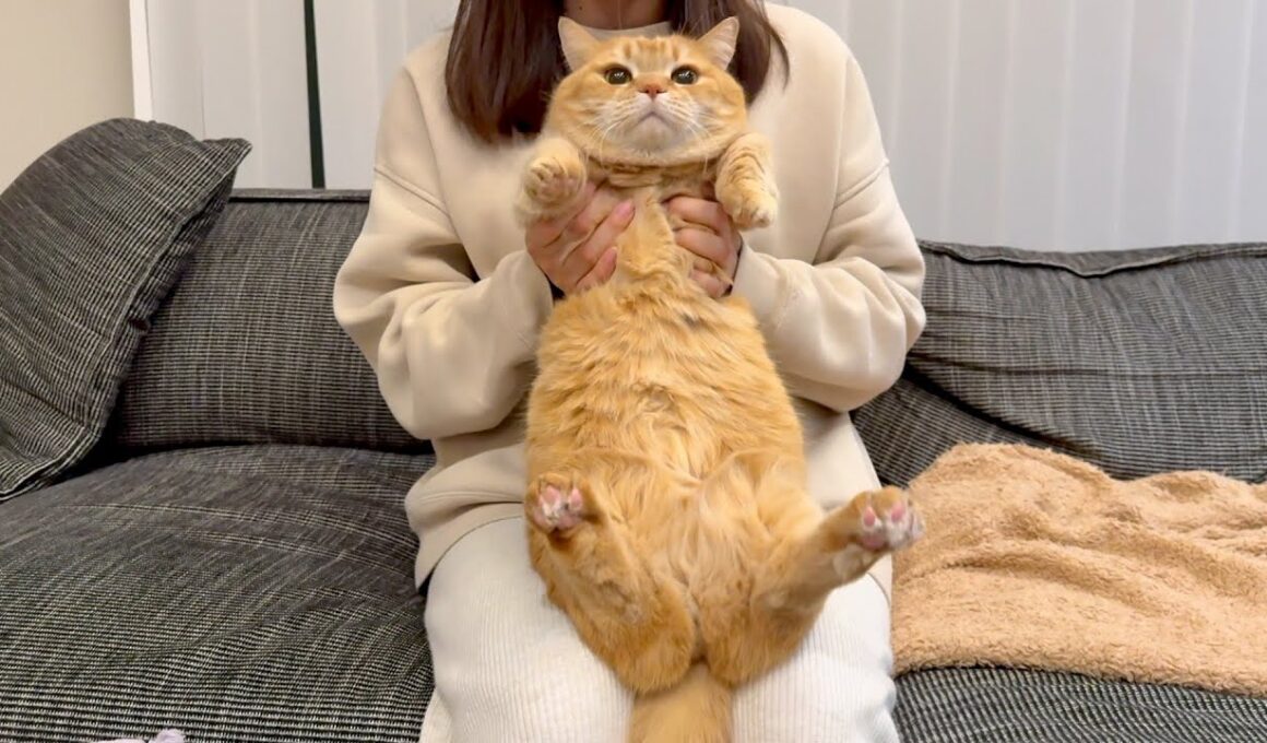 お風呂が沸いたのを知らせそびれちゃった猫【プリン】