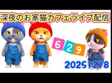 深夜のお家猫カフェライブ配信 ６２９
