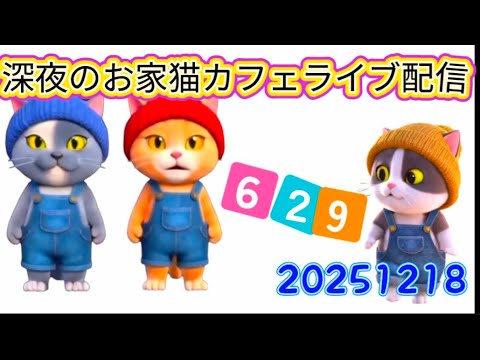 深夜のお家猫カフェライブ配信 ６２９