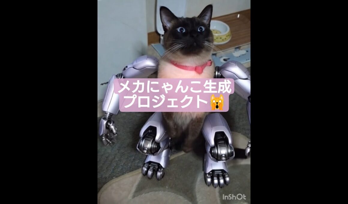 ちょこさん😺メカにゃんこを目指す #シャム猫 #たぬき猫 #ai生成動画