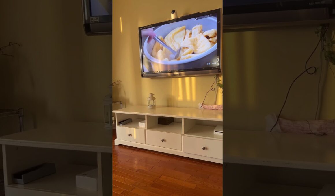 チッ #ねこ動画 #アメリカンカール #cutecats