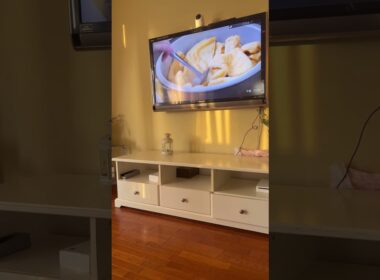 チッ #ねこ動画 #アメリカンカール #cutecats