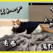 【マイナス２度】寒がりな猫に暖房グッズを大量に用意してあげました！！！