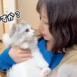 髪の毛をバッサリ切って帰ってきたら子猫から警戒されて大変なことになりました…涙