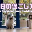 バーマン猫ラフとウリ【休日の過ごし方】How to spend your holidays（バーマン猫）Birman/Cat
