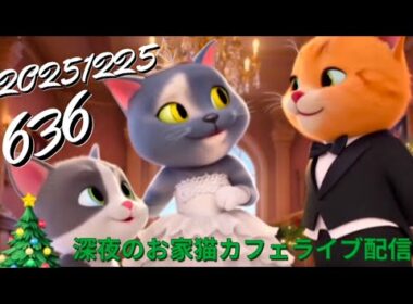 深夜のお家猫カフェライブ配信 ６３６