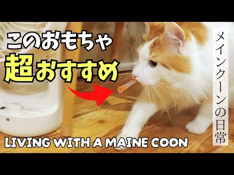 大型猫メインクーンが大興奮したおもちゃ│長毛のためのストーブガード990円