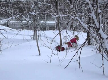 小野川湖でスノーシューするトイプードルとスタンダードプードル