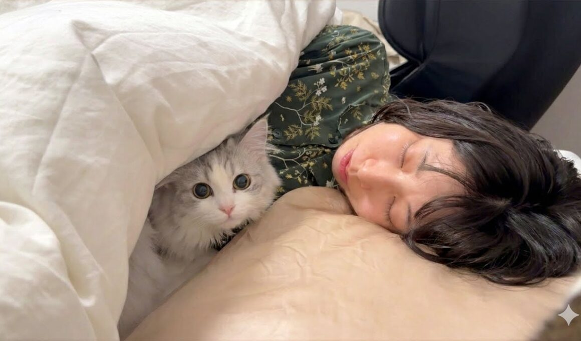 こっそりママの布団に忍び込んで一緒に眠る子猫がこちらです