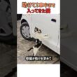赤ちゃんを助けて！覚悟を決めて車に乗り込んで来た母猫の想いに涙が出ます　#すごい #猫のいる暮らし #保護猫 #母猫 #好きな子猫 #癒し #赤ちゃん猫
